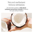 Pyunkang Yul - Low pH Scalp Shampoo